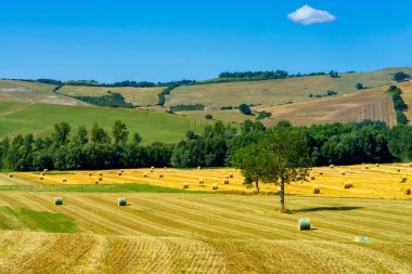Yaz mevsiminde Acquapendente, Viterbo ili, Lazio, İtalya yakınlarındaki Cassia yolu boyunca kırsal alan.