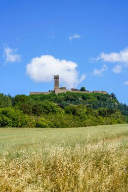 Yazın İtalya 'nın Toskana eyaletinde, Siena eyaletinin Radicofani yakınlarındaki Cassia yolu boyunca kırsal alan