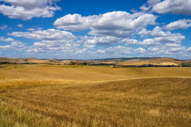 Cassia yolu boyunca kırsal alan Castiglione, Siena, Tuscany, İtalya, yaz mevsiminde