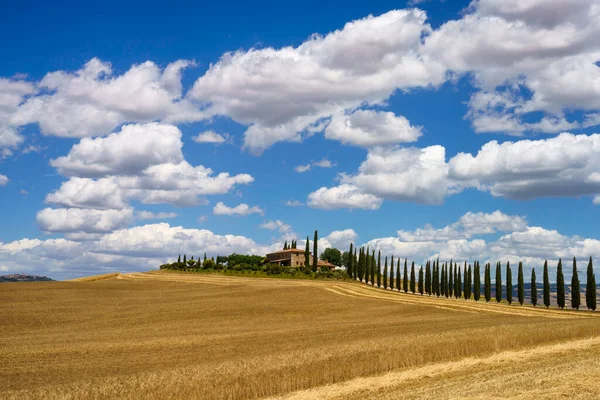 Сільський Краєвид Вздовж Дороги Кассіа Поблизу Кастільоне Провінція Сієна Тоскана — стокове фото
