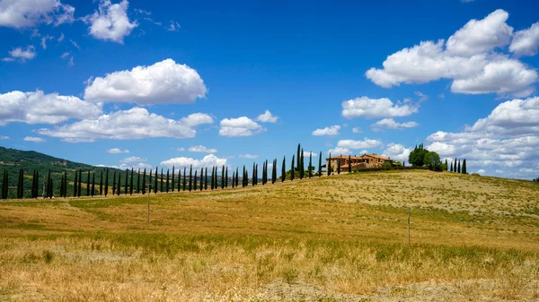 Ländliche Landschaft Entlang Der Cassia Straße Bei Castiglione Provinz Siena — Stockfoto