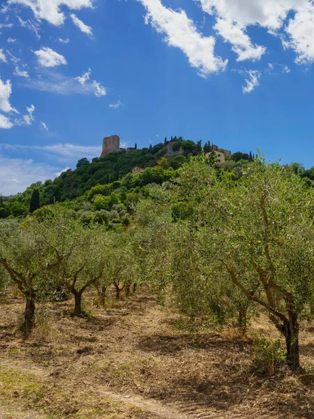 Ländliche Landschaft Entlang Der Straße Nach Castiglione Provinz Siena Toskana — Stockfoto