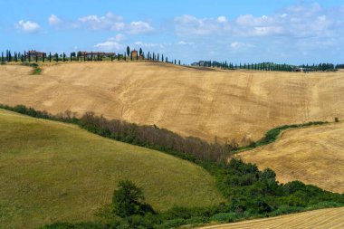 Asciano, Siena ili yakınlarındaki kırsal alan, Toskana, İtalya, yaz aylarında