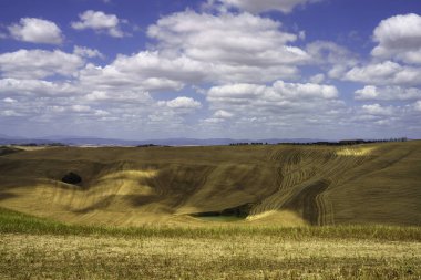 Val d Orcia, Tuscany, İtalya 'da yaz aylarında kırsal alan
