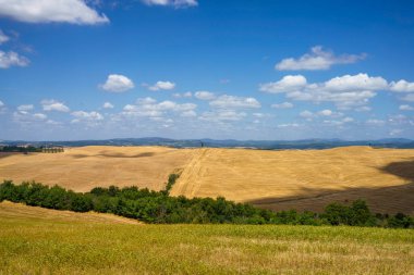 Val d Orcia, Tuscany, İtalya 'da yaz aylarında kırsal alan