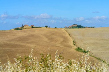 Asciano, Siena ili yakınlarındaki kırsal alan, Toskana, İtalya, yaz aylarında