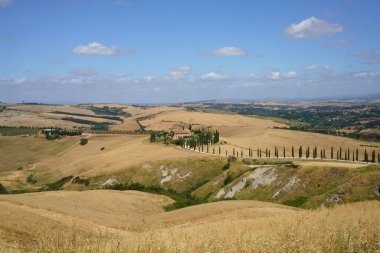 Asciano, Siena ili yakınlarındaki kırsal alan, Toskana, İtalya, yaz aylarında