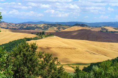 Val d Orcia, Tuscany, İtalya 'da yaz aylarında kırsal alan