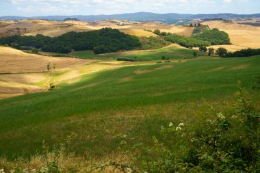 Val d Orcia, Tuscany, İtalya 'da yaz aylarında kırsal alan