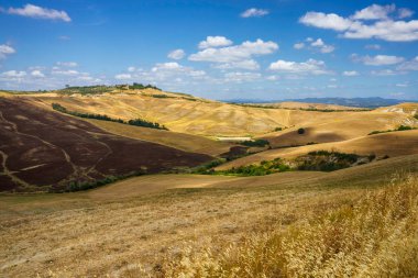 Val d Orcia, Tuscany, İtalya 'da yaz aylarında kırsal alan