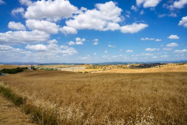 Val d Orcia, Tuscany, İtalya 'da yaz aylarında kırsal alan