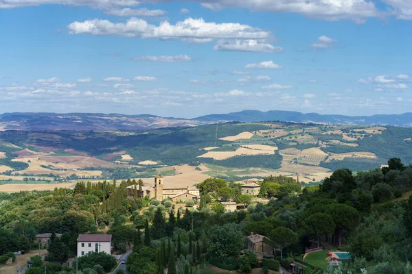 Αγροτικό Τοπίο Κοντά Στο Montalcino Επαρχία Σιένα Τοσκάνη Ιταλία Καλοκαίρι — Φωτογραφία Αρχείου
