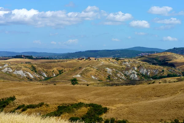 Paesaggio Rurale Vicino Asciano Provincia Siena Toscana Italia Estate — Foto Stock