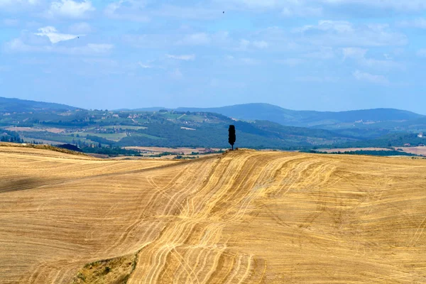 Paisaje Rural Val Orcia Toscana Italia Verano — Foto de Stock