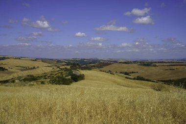 Asciano, Siena ili yakınlarındaki kırsal alan, Toskana, İtalya, yaz aylarında