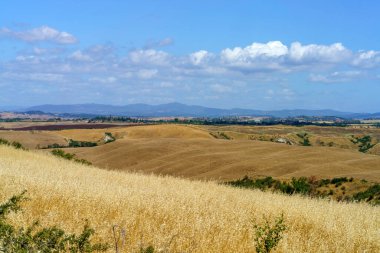 Asciano, Siena ili yakınlarındaki kırsal alan, Toskana, İtalya, yaz aylarında