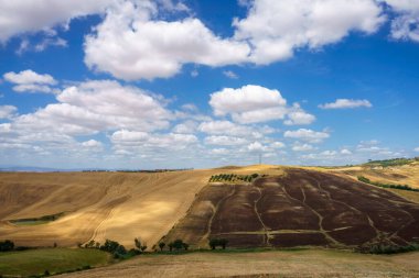 Val d Orcia, Tuscany, İtalya 'da yaz aylarında kırsal alan