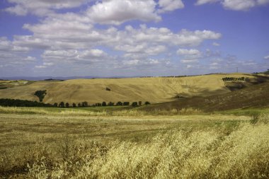 Val d Orcia, Tuscany, İtalya 'da yaz aylarında kırsal alan