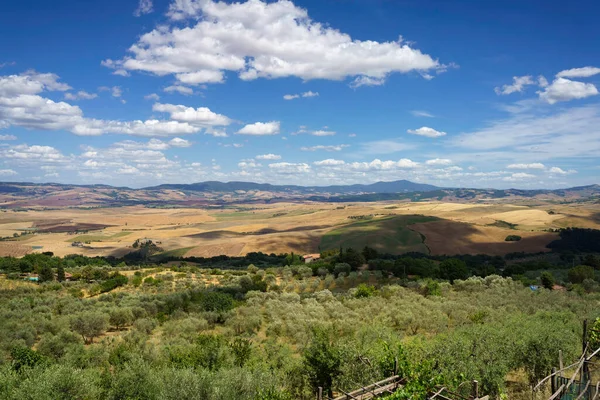 Venkovská Krajina Castiglione Provincie Siena Toskánsko Itálie Létě — Stock fotografie