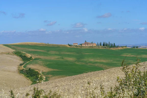 Ländliche Landschaft Bei Asciano Provinz Siena Toskana Italien Sommer — Stockfoto