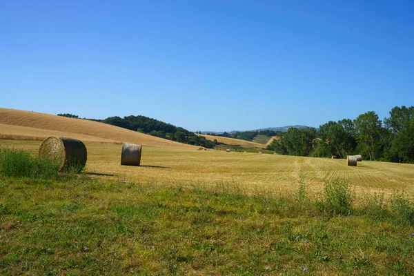 Paysage Rural Près Buonconvento Province Sienne Toscane Italie Été — Photo