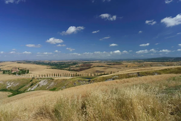 Paesaggio Rurale Vicino Asciano Provincia Siena Toscana Italia Estate — Foto Stock