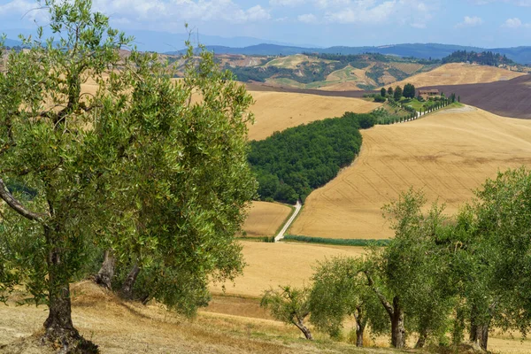 Сельский Пейзаж Валь Орча Тоскана Италия Летом — стоковое фото
