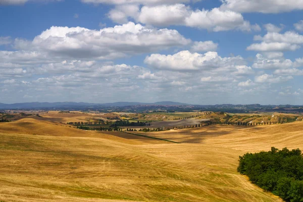 Paesaggio Rurale Val Orcia Toscana Italia Estate — Foto Stock