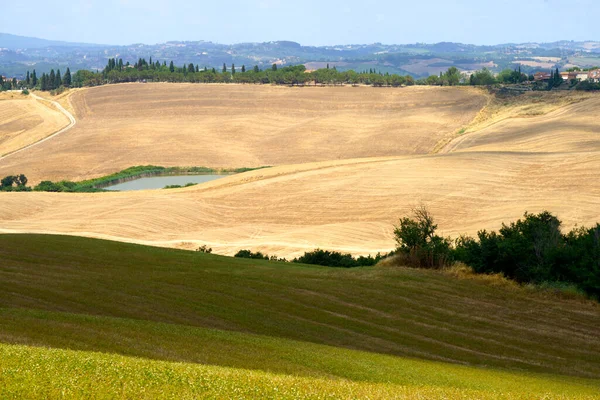 Val Orcia Tuscany Talya Yaz Aylarında Kırsal Alan — Stok fotoğraf