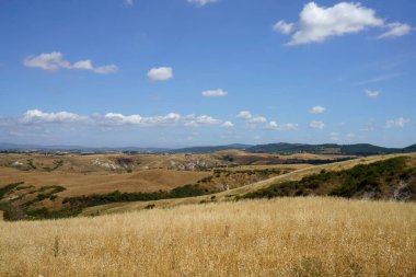 Asciano, Siena ili yakınlarındaki kırsal alan, Toskana, İtalya, yaz aylarında