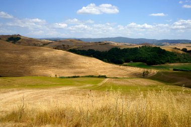 Val d Orcia, Tuscany, İtalya 'da yaz aylarında kırsal alan