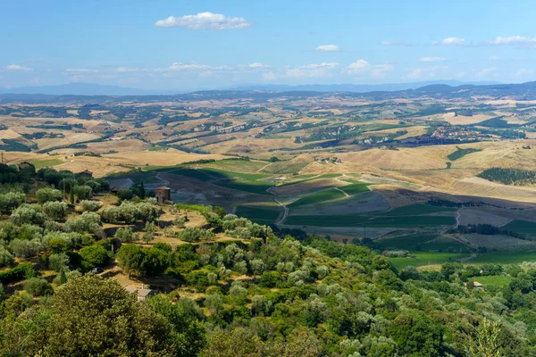 Vidéki Táj Közelében Montalcino Siena Tartomány Toszkána Olaszország Nyáron — Stock Fotó