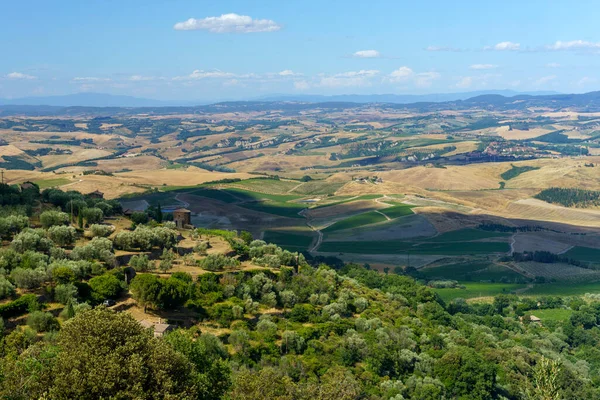 Paisaje Rural Cerca Montalcino Provincia Siena Toscana Italia Verano — Foto de Stock