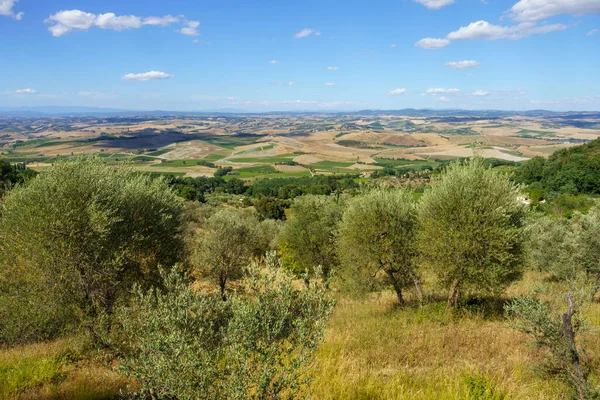 Venkovská Krajina Poblíž Montalcina Provincie Siena Toskánsko Itálie Létě — Stock fotografie