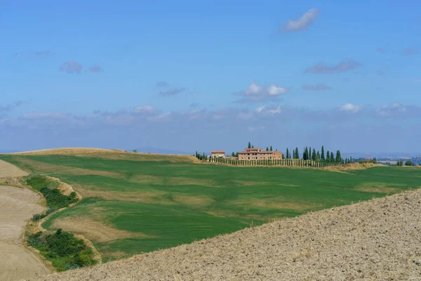 Asciano Siena Ili Yakınlarındaki Kırsal Alan Toskana Talya Yaz Aylarında — Stok fotoğraf