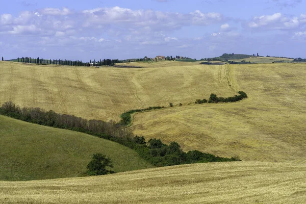 Αγροτικό Τοπίο Κοντά Στο Asciano Επαρχία Σιένα Τοσκάνη Ιταλία Καλοκαίρι — Φωτογραφία Αρχείου