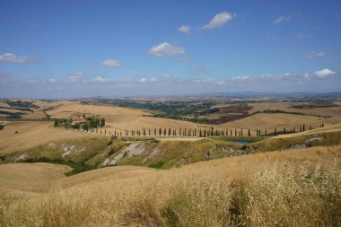 Asciano, Siena ili yakınlarındaki kırsal alan, Toskana, İtalya, yaz aylarında