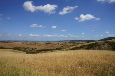 Asciano, Siena ili yakınlarındaki kırsal alan, Toskana, İtalya, yaz aylarında