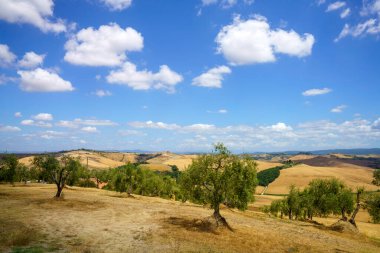 Val d Orcia, Tuscany, İtalya 'da yaz aylarında kırsal alan