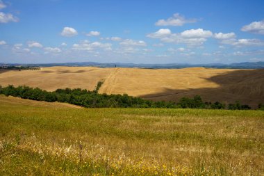 Val d Orcia, Tuscany, İtalya 'da yaz aylarında kırsal alan