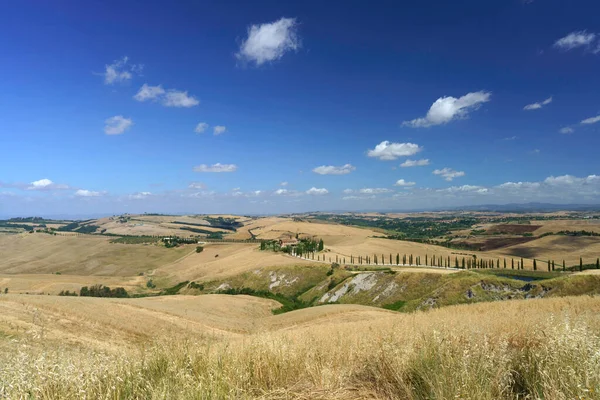 Ländliche Landschaft Bei Asciano Provinz Siena Toskana Italien Sommer — Stockfoto