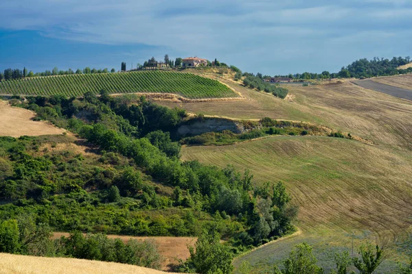 Αγροτικό Τοπίο Κοντά Στο Buonconvento Επαρχία Σιένα Τοσκάνη Ιταλία Καλοκαίρι — Φωτογραφία Αρχείου