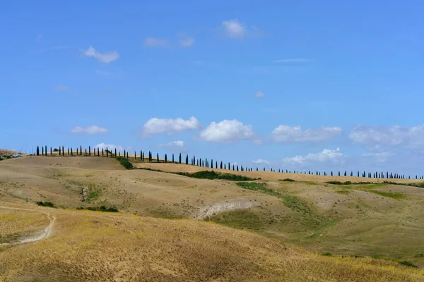 Paysage Rural Près Asciano Province Sienne Toscane Italie Été — Photo