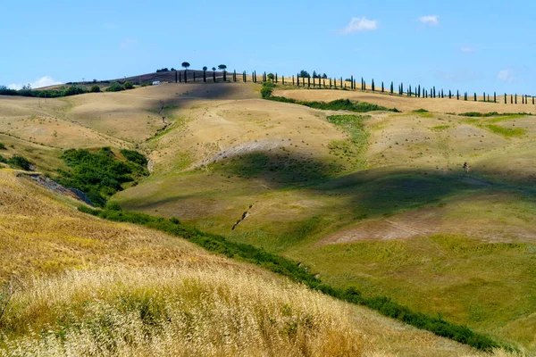 Ländliche Landschaft Bei Asciano Provinz Siena Toskana Italien Sommer — Stockfoto