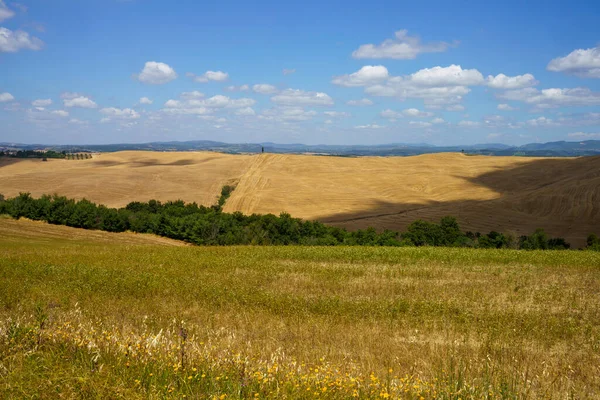 Venkovská Krajina Val Orcia Toskánsko Itálie Létě — Stock fotografie