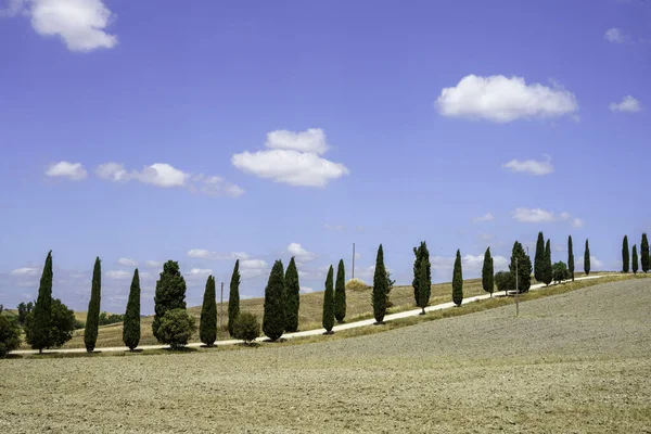 Rural Landscape Val Orcia Tuscany Italy Summer — Stock Photo, Image