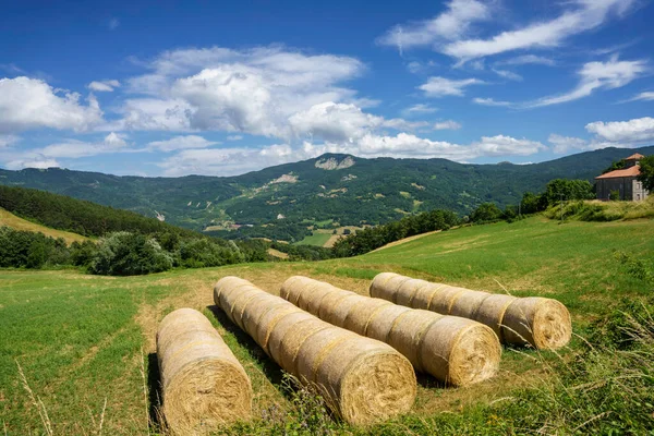 Passo Della Cisa Yolu Boyunca Uzanan Yaz Manzarası Appennino Talya — Stok fotoğraf