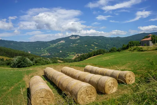 意大利阿帕尼诺省Passo Della Cisa公路沿线的夏季风景 — 图库照片