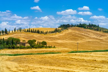Val d Orcia, Tuscany, İtalya 'da yaz aylarında kırsal alan