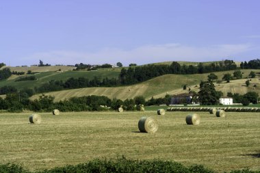 Passo della Cisa yolu boyunca uzanan yaz manzarası, Appennino, İtalya, Parma vilayeti